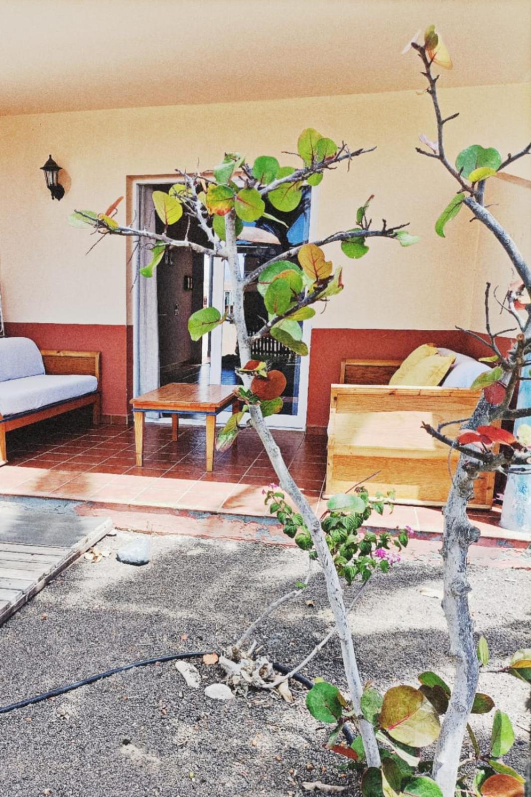 Casa Anita, Pool Sea And Surf In *