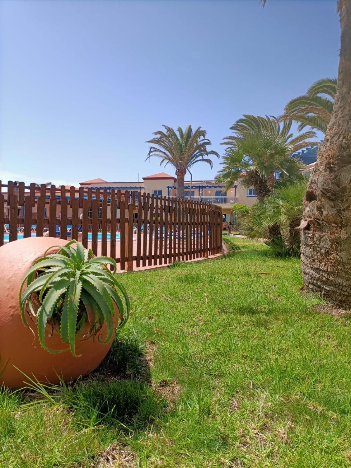 Casa Anita, Pool Sea And Surf In *
