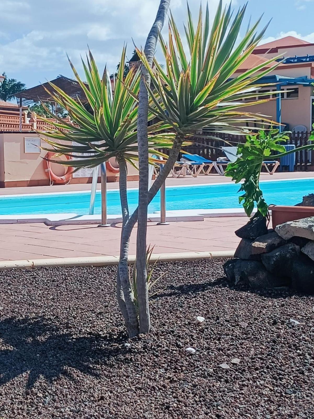 Casa Anita, Pool Sea And Surf In * Corralejo
