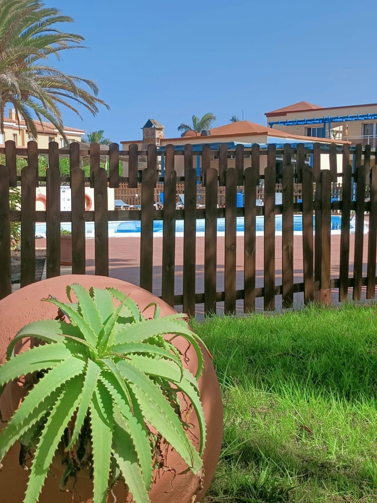 Apartment Casa Anita, Pool Sea And Surf In *