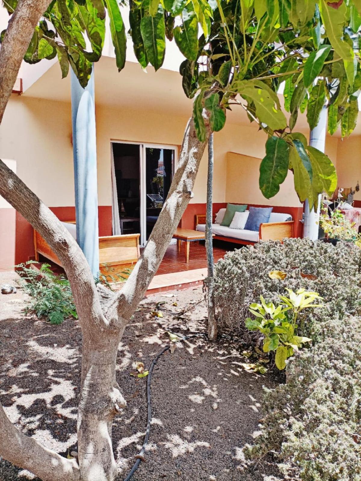 Casa Anita, Pool Sea And Surf In Corralejo